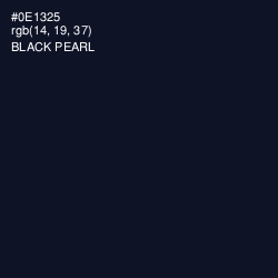#0E1325 - Black Pearl Color Image